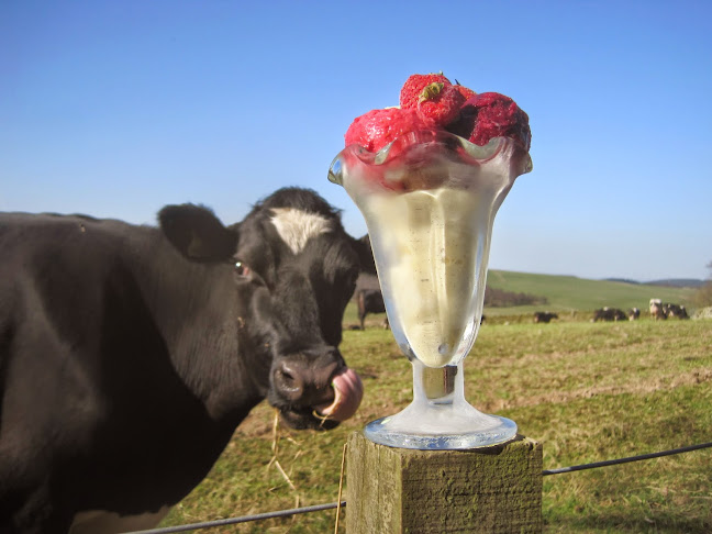 Comments and reviews of Over Langshaw Farmhouse Ice Cream