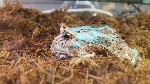 Pet Supply Store «Pet Finatics», reviews and photos, 3150 Navarre Ave, Oregon, OH 43616, USA