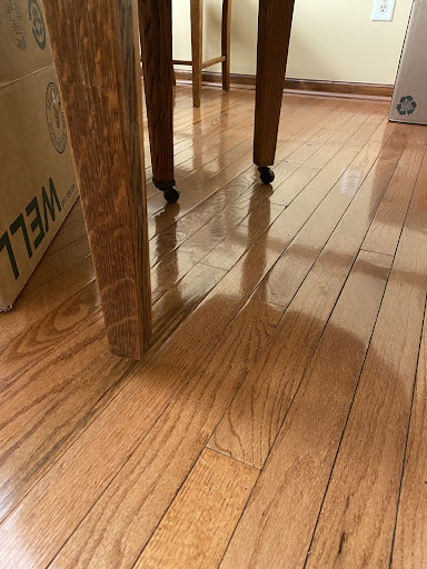 Moving Company «International Van Lines», reviews and photos, 3957 NW 126th Ave, Coral Springs, FL 33065, USA