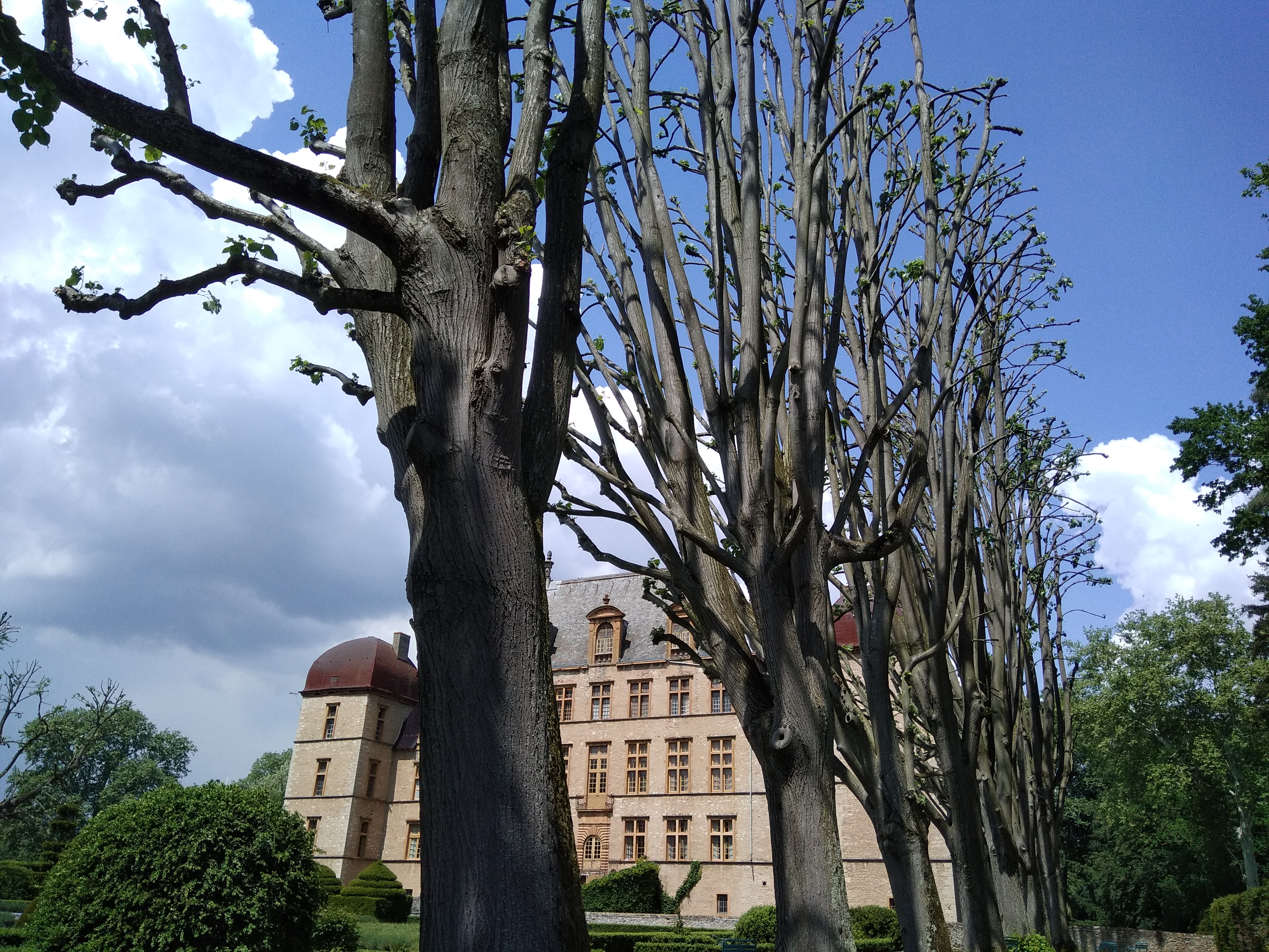 Photo n° 16 de l'avis de Rafaël. fait le 08/05/2018 à 11:48