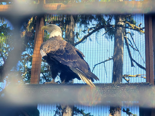 Nature Preserve «Cascades Raptor Center», reviews and photos, 32275 Fox Hollow Rd, Eugene, OR 97405, USA