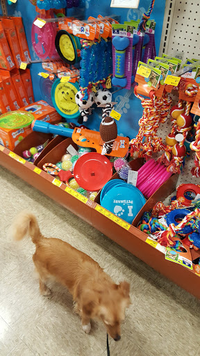 Pet Supply Store «PetSmart», reviews and photos, 950 Hanes Mall Blvd, Winston-Salem, NC 27103, USA