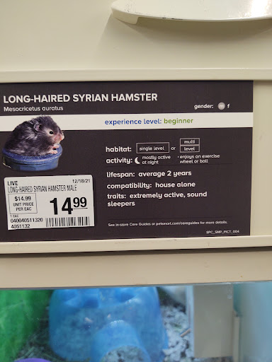 Pet Supply Store «PetSmart», reviews and photos, 213 Hartford Ave, Bellingham, MA 02019, USA