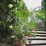 Photo n°9 de l'avis de tania.i fait le 31/05/2023 à 09:36 sur le  Hotel Silvio à Bellagio