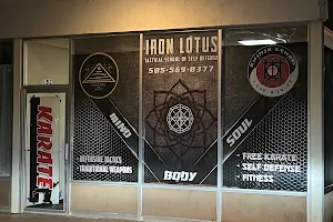 Iron Lotus Martial Arts image