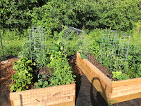 Patriot Gardens LLC - Photo 3 - Car repair in , Utica