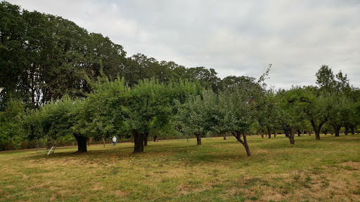 Event Venue «Cornelius Orchard and Farm», reviews and photos, 3375 SW 53rd St, Corvallis, OR 97333, USA