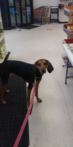 Pet Supply Store «Pet Life | Supplies, Services & Knowledge», reviews and photos, 93 Main St, Stoneham, MA 02180, USA