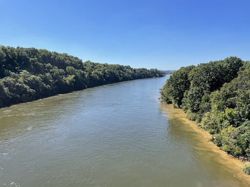 Bicycle Rental Service «Green Fleet Bicycle Shop», reviews and photos, 934 Jefferson St, Nashville, TN 37208, USA