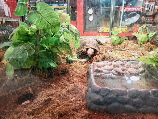 Pet Supply Store «Petco Animal Supplies», reviews and photos, 1500 N Town E Blvd, Mesquite, TX 75150, USA