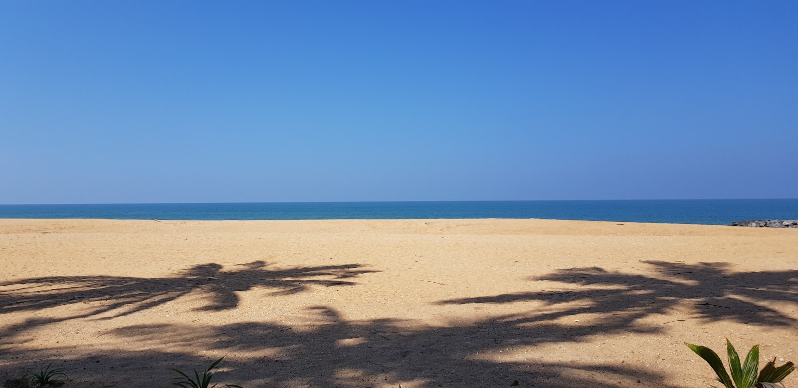 Thalwila Beach photo #8