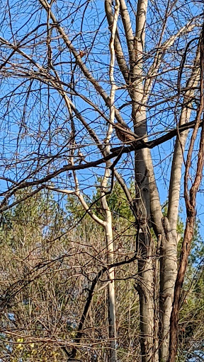 Park «East Blake Lane Park», reviews and photos, 9540 Bel Glade St, Fairfax, VA 22031, USA