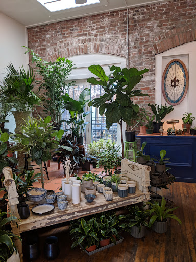 Florist «Fleur de Lis Fresh Flowers», reviews and photos, 516 Selby Ave, St Paul, MN 55102, USA