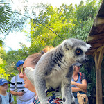 Photo n° 5 de l'avis de Emma.o fait le 05/09/2023 à 15:33 pour Zoo de La Flèche à La Flèche