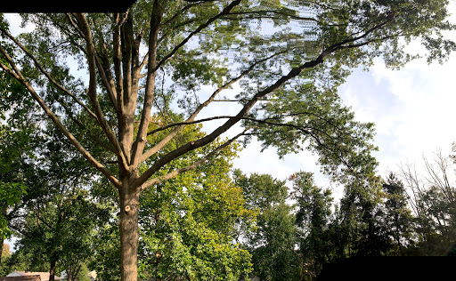 Auto Parts Store «NAPA Auto Parts - Speed Equipment Corp», reviews and photos, 2535 Street Rd, Bensalem, PA 19020, USA