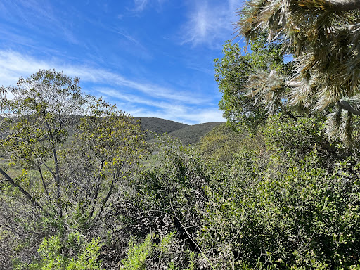 Utility trailhead (north)