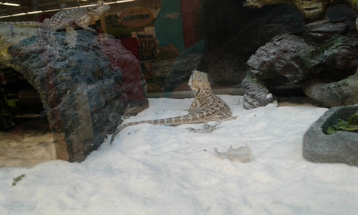 Pet Supply Store «Petco Animal Supplies», reviews and photos, 1415 E Warner Rd, Gilbert, AZ 85296, USA