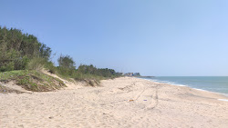 Foto de Sanguthurai Beach - lugar popular entre os apreciadores de relaxamento