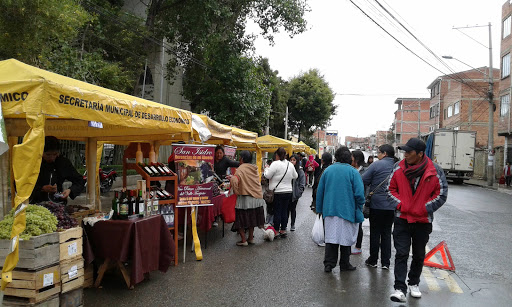 Mercado Modelo Alto San Antonio