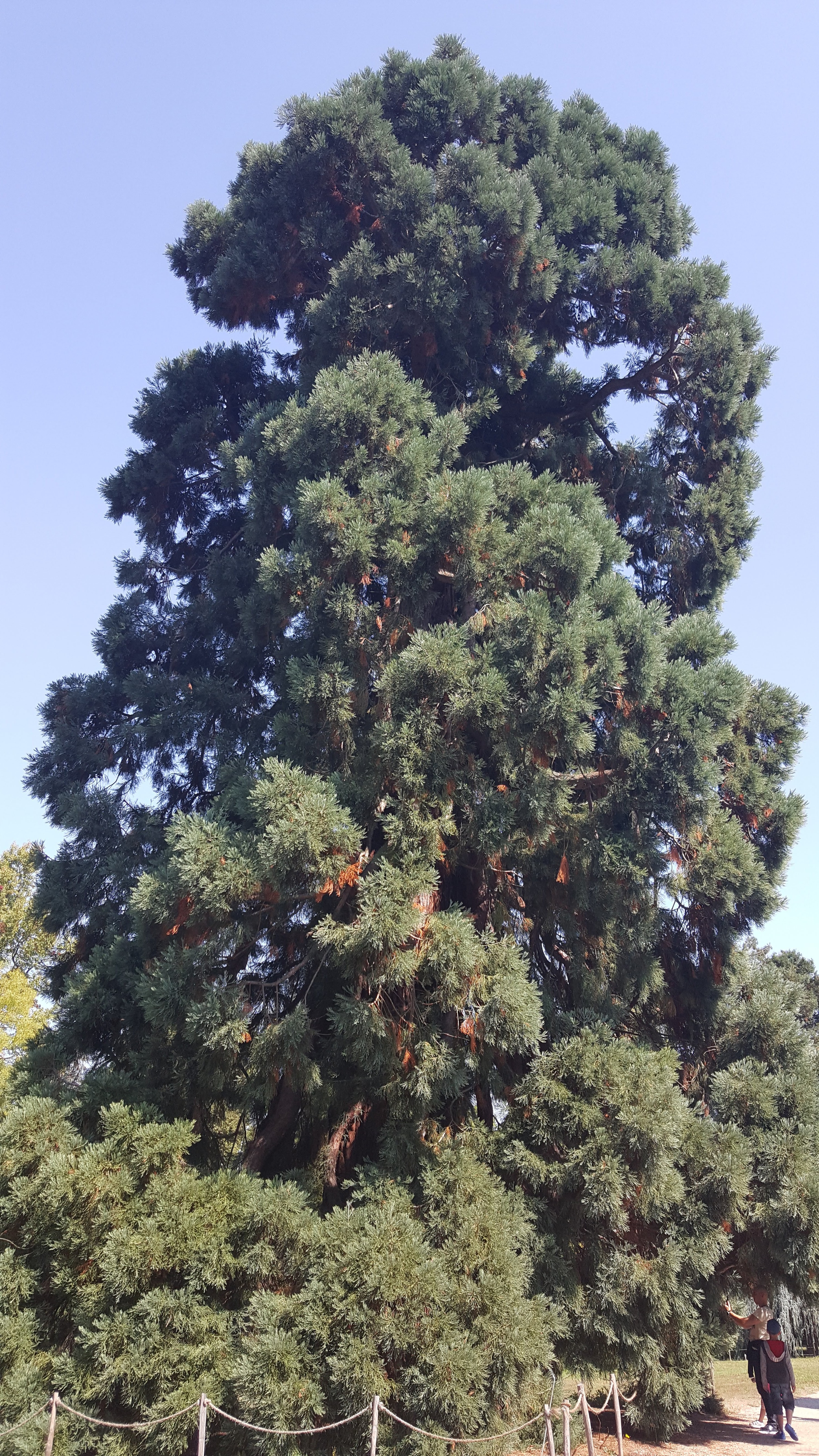Photo n° 9 de l'avis de Malou.r fait le 02/09/2018 à 18:23