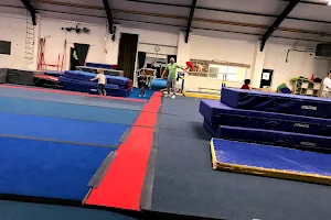 Erewash Valley Gymnastics Club image