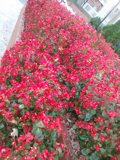 Park «Fairland Recreational Park», reviews and photos, 3928 Greencastle Rd, Burtonsville, MD 20866, USA