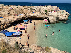 Grotta della Cala Tre Buchi'in fotoğrafı vahşi alan