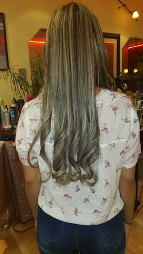 Beauty Salon «Cut N Curl Beauty Salon», reviews and photos, 6722 Hanley Rd, Tampa, FL 33634, USA