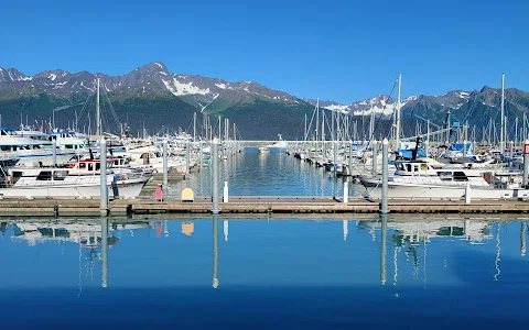 Seward Boat Harbor image