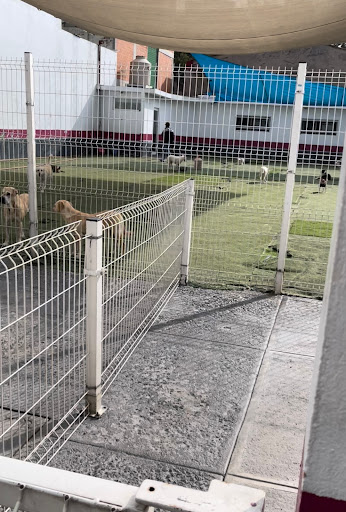 Guarderia canina Ciudad de Mexico