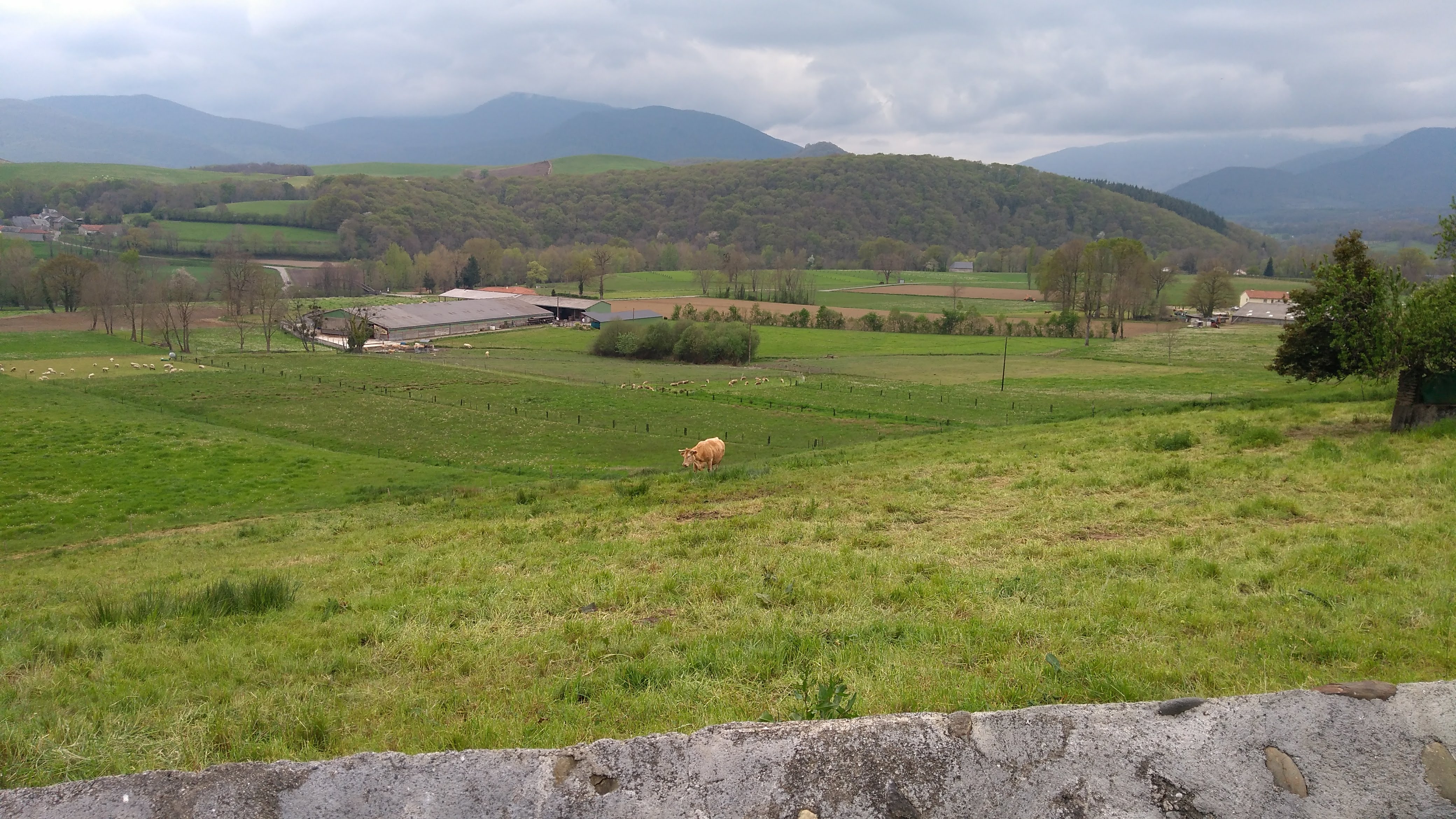 Photo n° 6 de l'avis de yoann.o fait le 10/05/2019 à 19:52