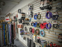 Guitar Room, The - Photo 3 - Car repair in Hagerstown, MD, Hagerstown