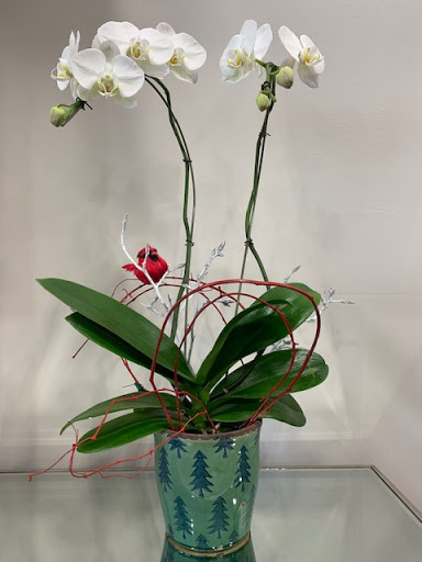 Florist «Watkins Flowers of Distinction», reviews and photos, 8490 Honeycutt Rd #108, Raleigh, NC 27615, USA