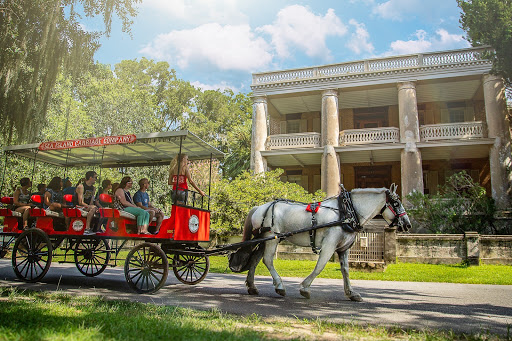 Carriage Ride Service «Sea Island Carriage Company», reviews and photos, 930 Bay St, Beaufort, SC 29902, USA