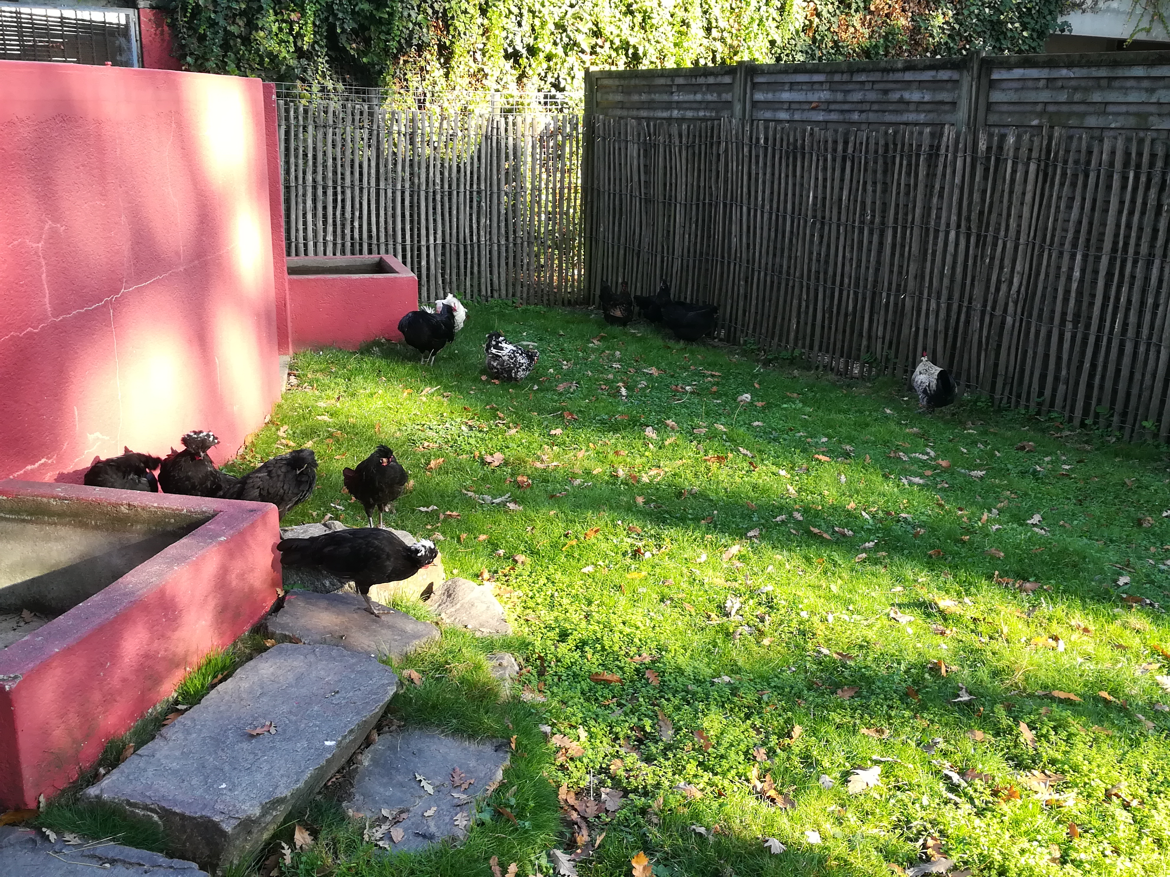 Photo n° 27 de l'avis de Nicolas.e fait le 19/10/2018 à 06:54