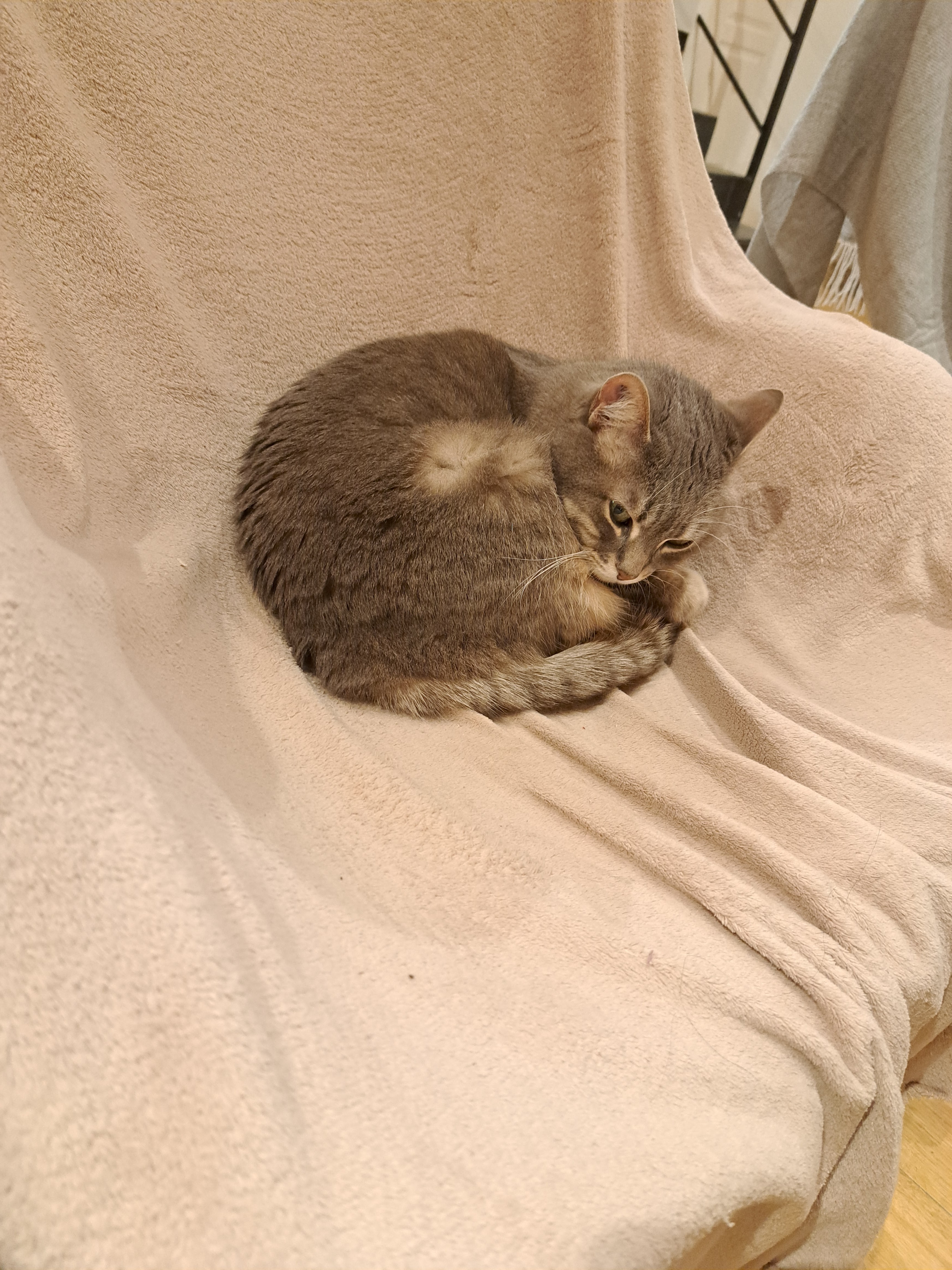 Photo n° 1 de l'avis de Baptiste.I fait le 19/04/2023 à 14:07