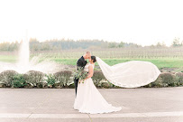 Zenith Vineyard - Photo 7 - Car repair in Salem, OR, Salem