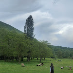 Photo n°19 de l'avis de fbs. fait le 07/06/2023 à 14:10 sur le  Bar Ristoro Cantaplura à Villetta Barrea