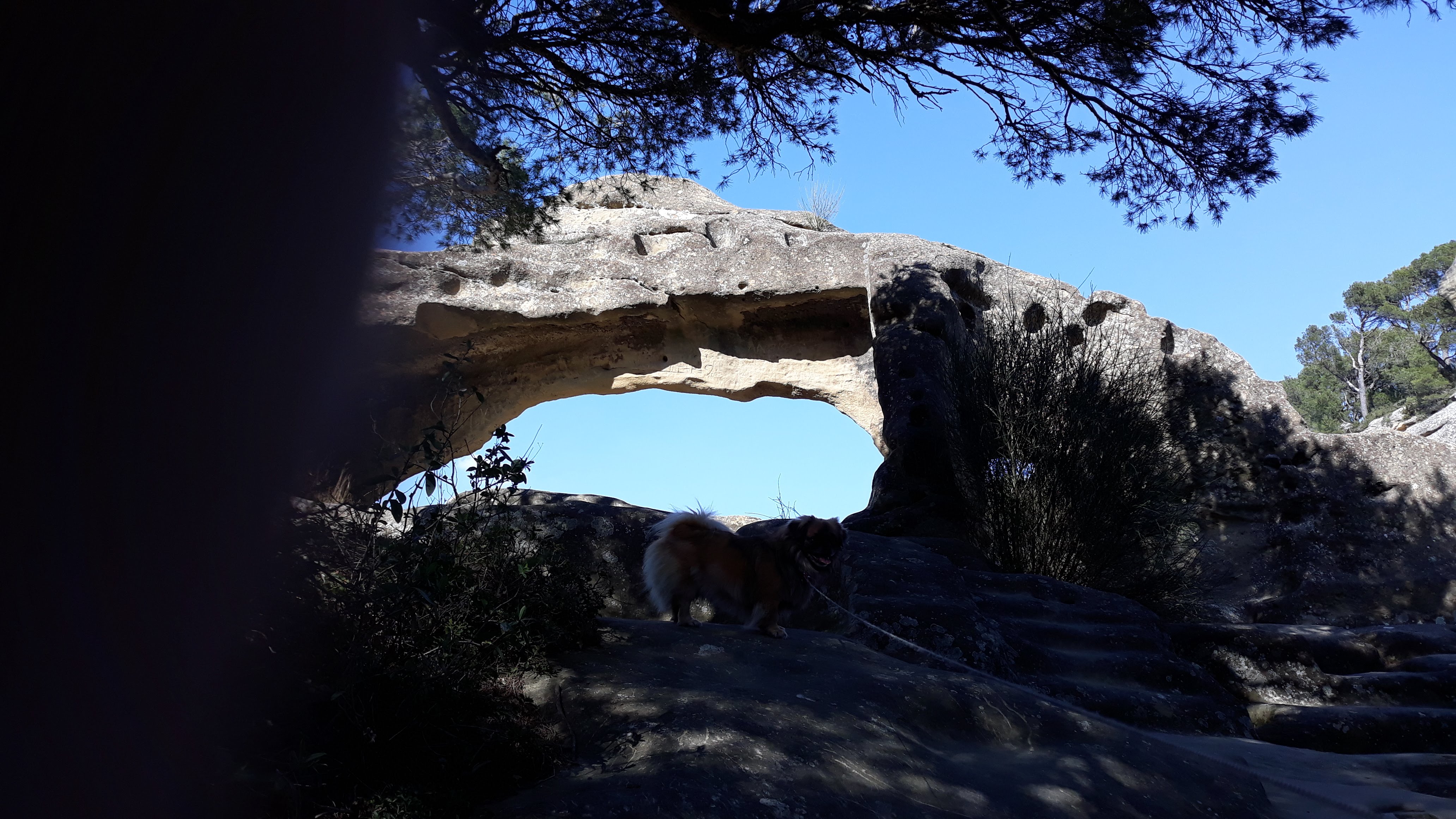 Photo n° 7 de l'avis de JACQUES.E fait le 28/03/2019 à 14:56