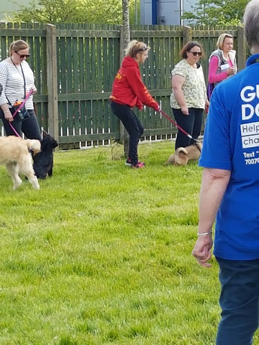 Reviews of Guide Dogs for the Blind Association in Manchester - Association