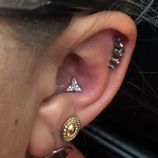 Explore charlotte's web tattoo ideas, creative tattoo ideas in Kennewick, available at Citrine Piercing Studio