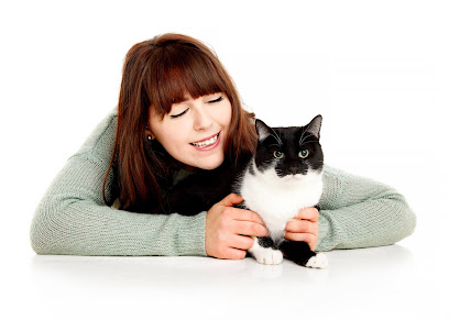 White Cross Vets en Bradford