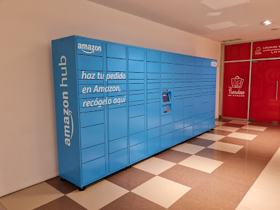 Amazon Hub Locker - Ahuacatl.