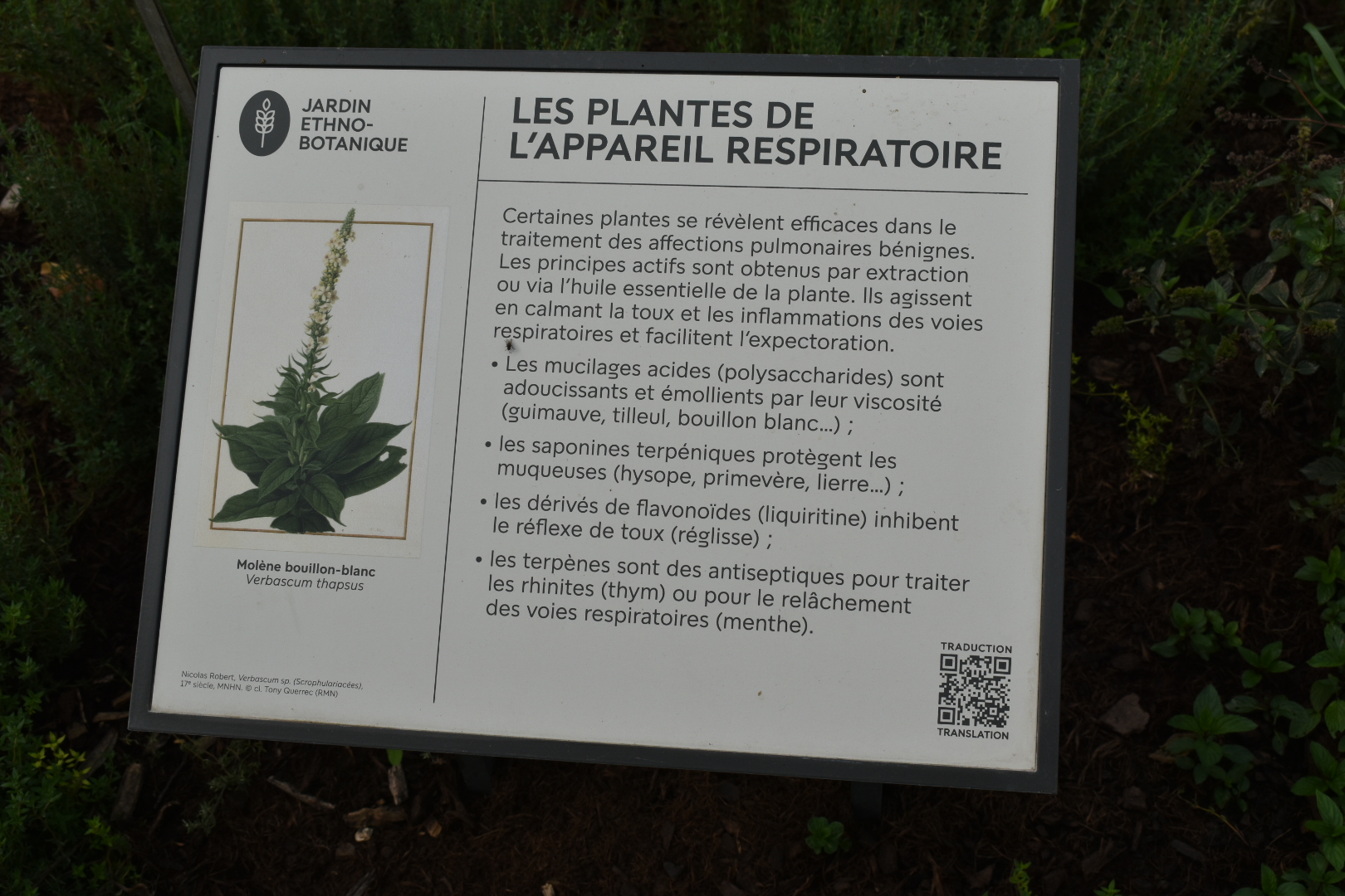 Photo n° 13 de l'avis de ATMANI.i fait le 17/10/2023 à 20:13