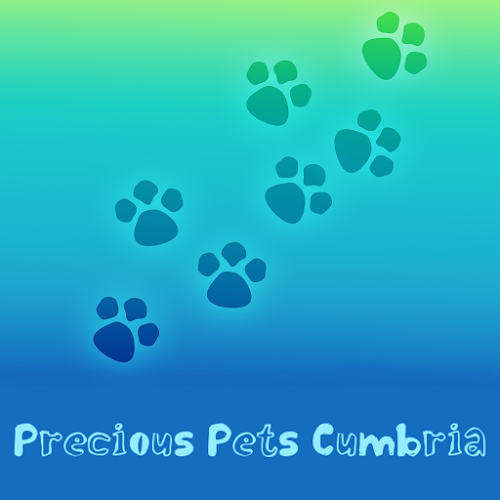 Comments and reviews of Precious Pets Cumbria
