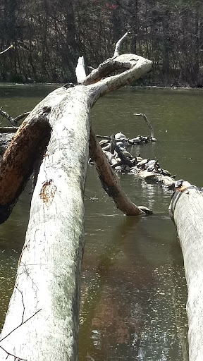 Nature Preserve «Reynolds Nature Preserve», reviews and photos, 5665 Reynolds Rd, Morrow, GA 30260, USA