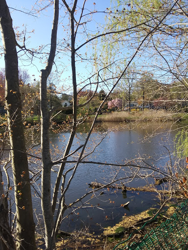 Non-Profit Organization «Jewish Community Center», reviews and photos, 1035 Newfield Ave, Stamford, CT 06905, USA