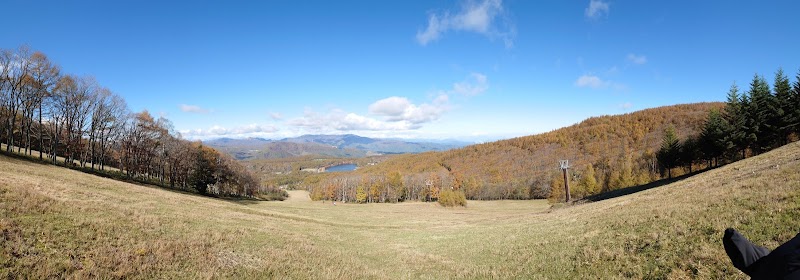 白樺高原国際スキー場 長野県立科町芦田八ケ野 スキー場 グルコミ
