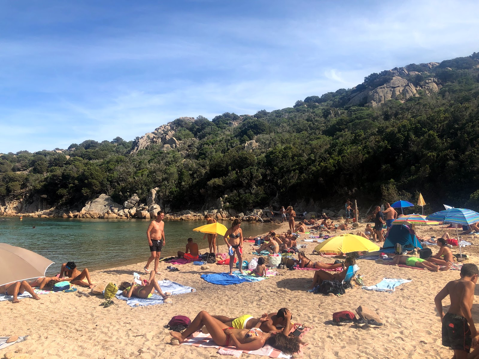 Foto van Spiaggia di Cala Brigantina wilde omgeving