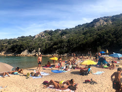 Spiaggia di Cala Brigantina'in fotoğrafı doğal alan içinde bulunmaktadır